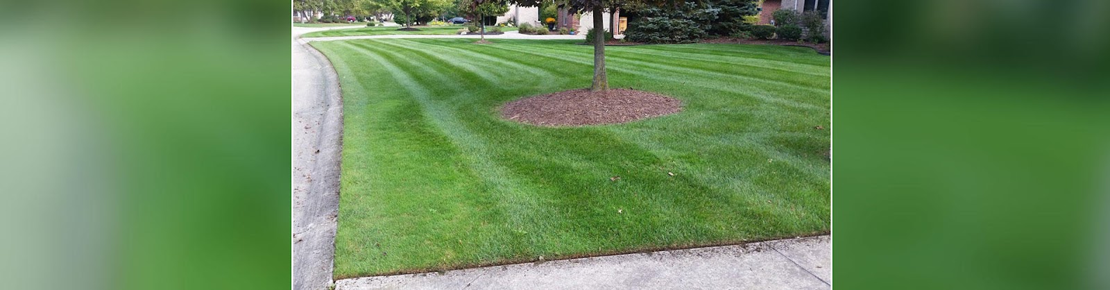 A & R Lawn Care, Inc. — photo