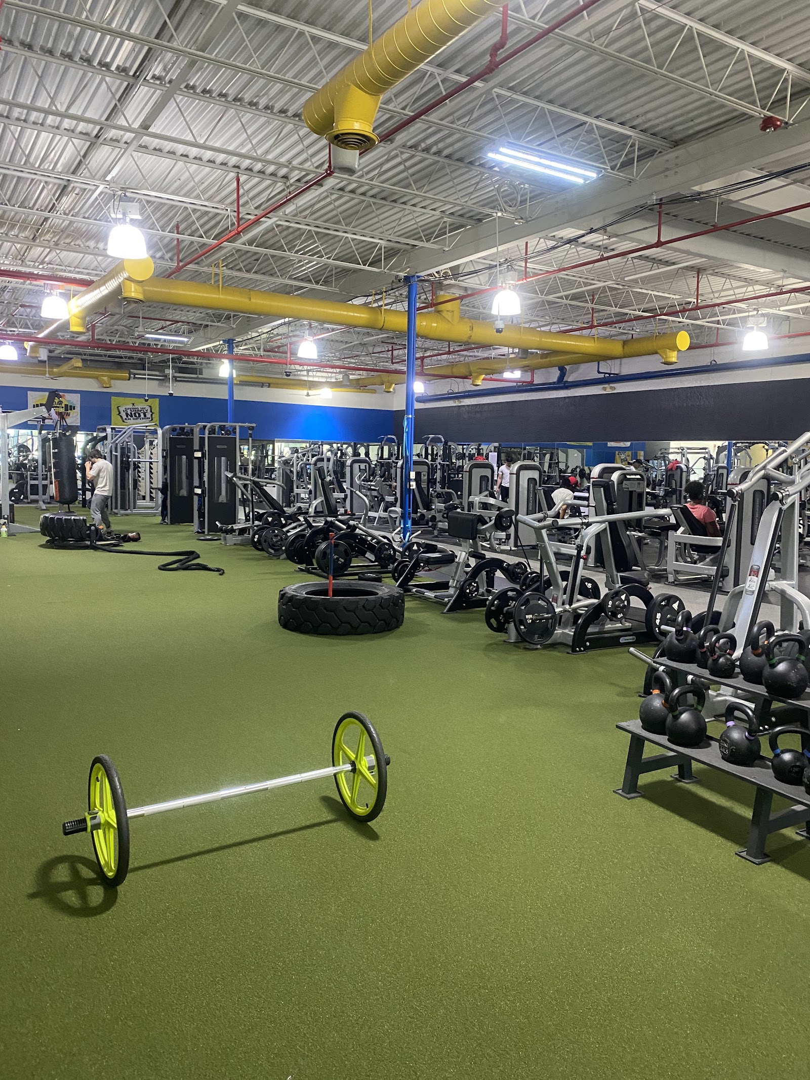 Gold's Gym Taylor — photo