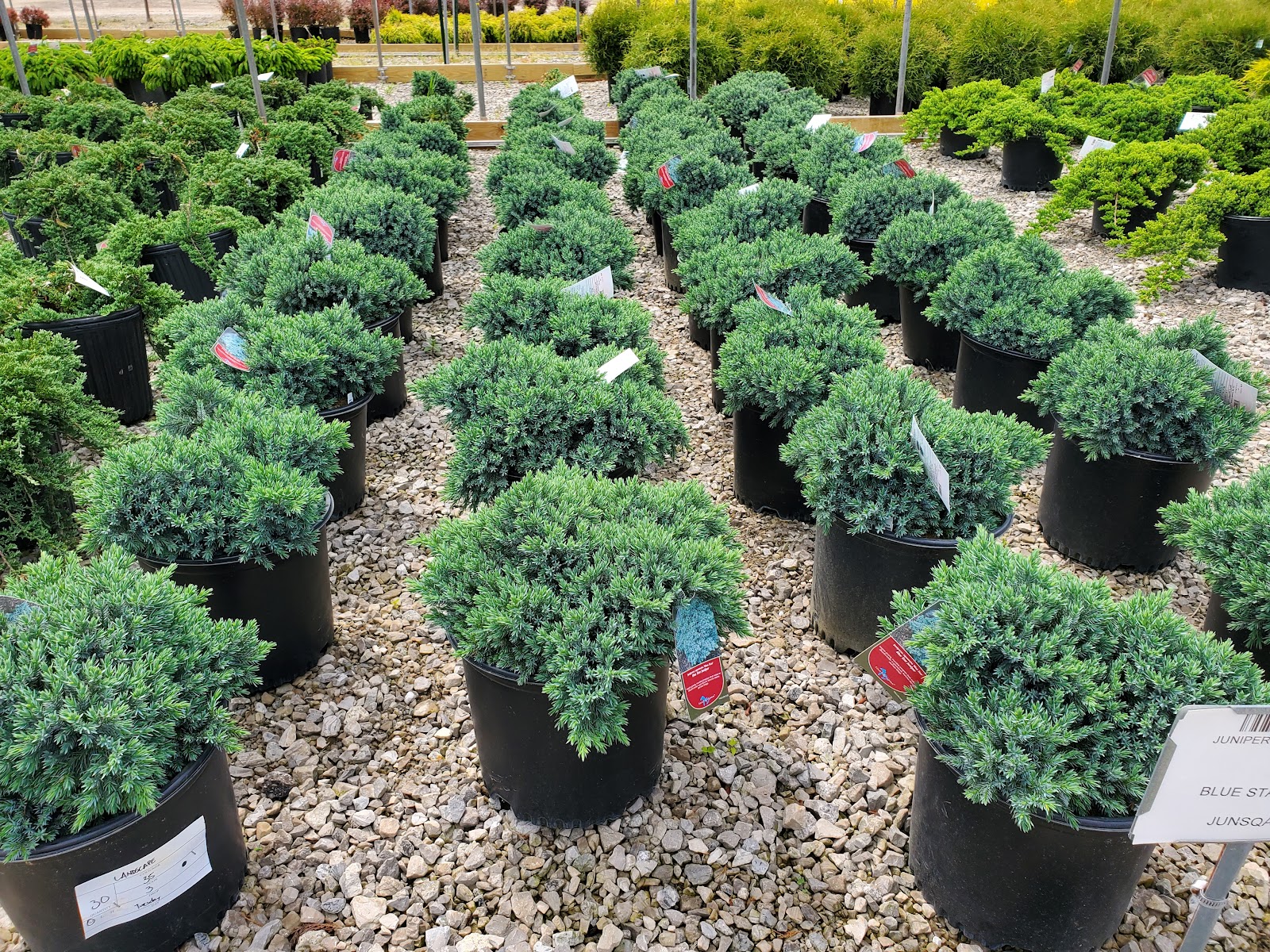 Landscape Supply Inc — photo