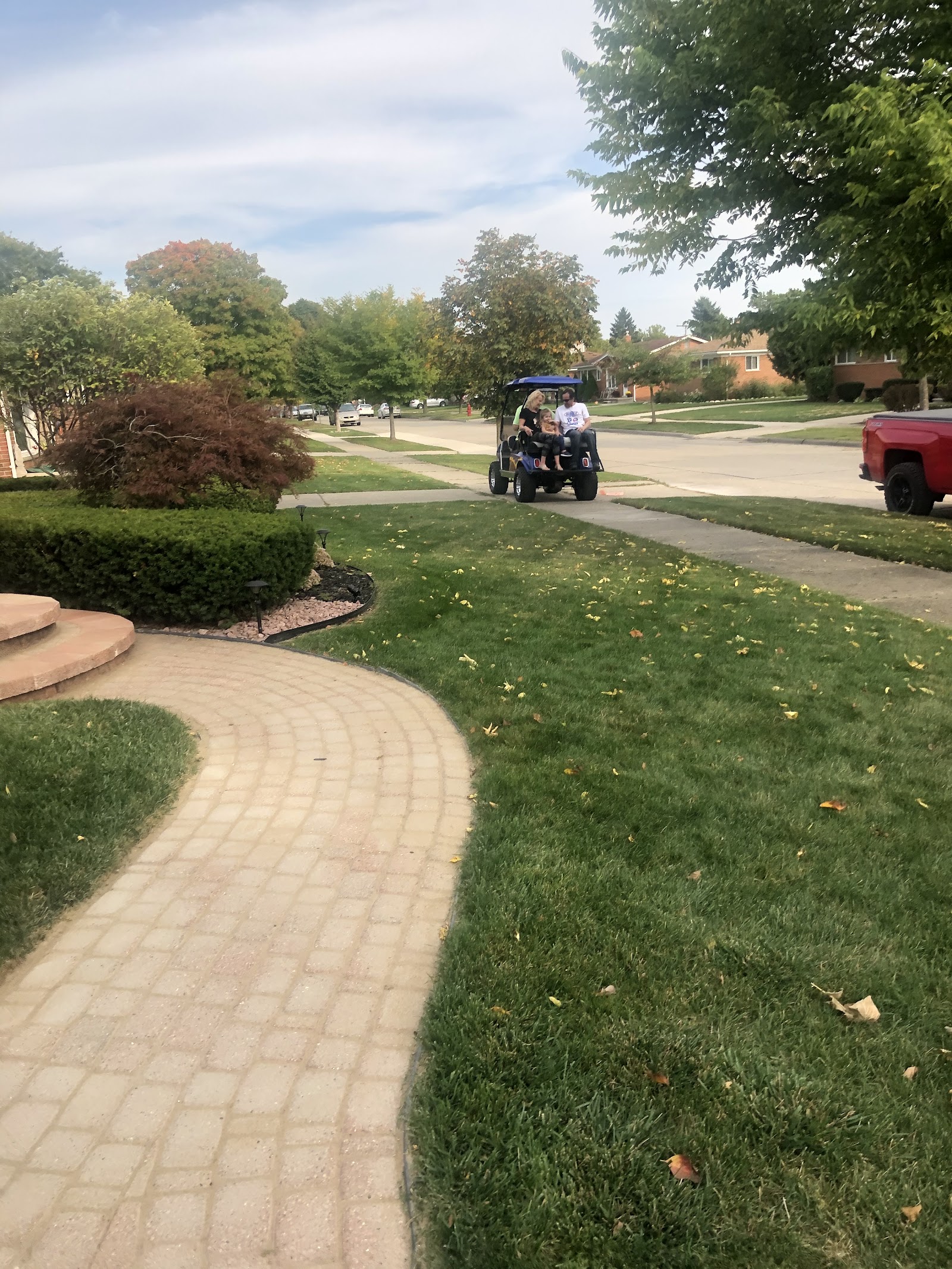 Natural Way Lawn & Tree Service — photo