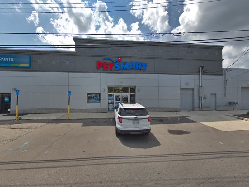PetSmart Grooming in Taylor